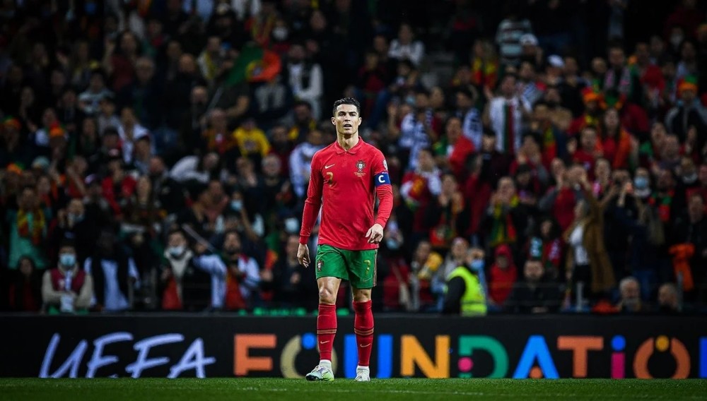 西班牙人举办“鹦鹉不离弃”活动，用待领养狗狗组成特殊阵容（西班牙人发起“鹦鹉不离弃”公益活动，用待领养犬组建独特阵容）